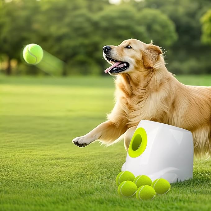 Smart Automatic Dog Ball Launcher – Interactive Fetch Toy