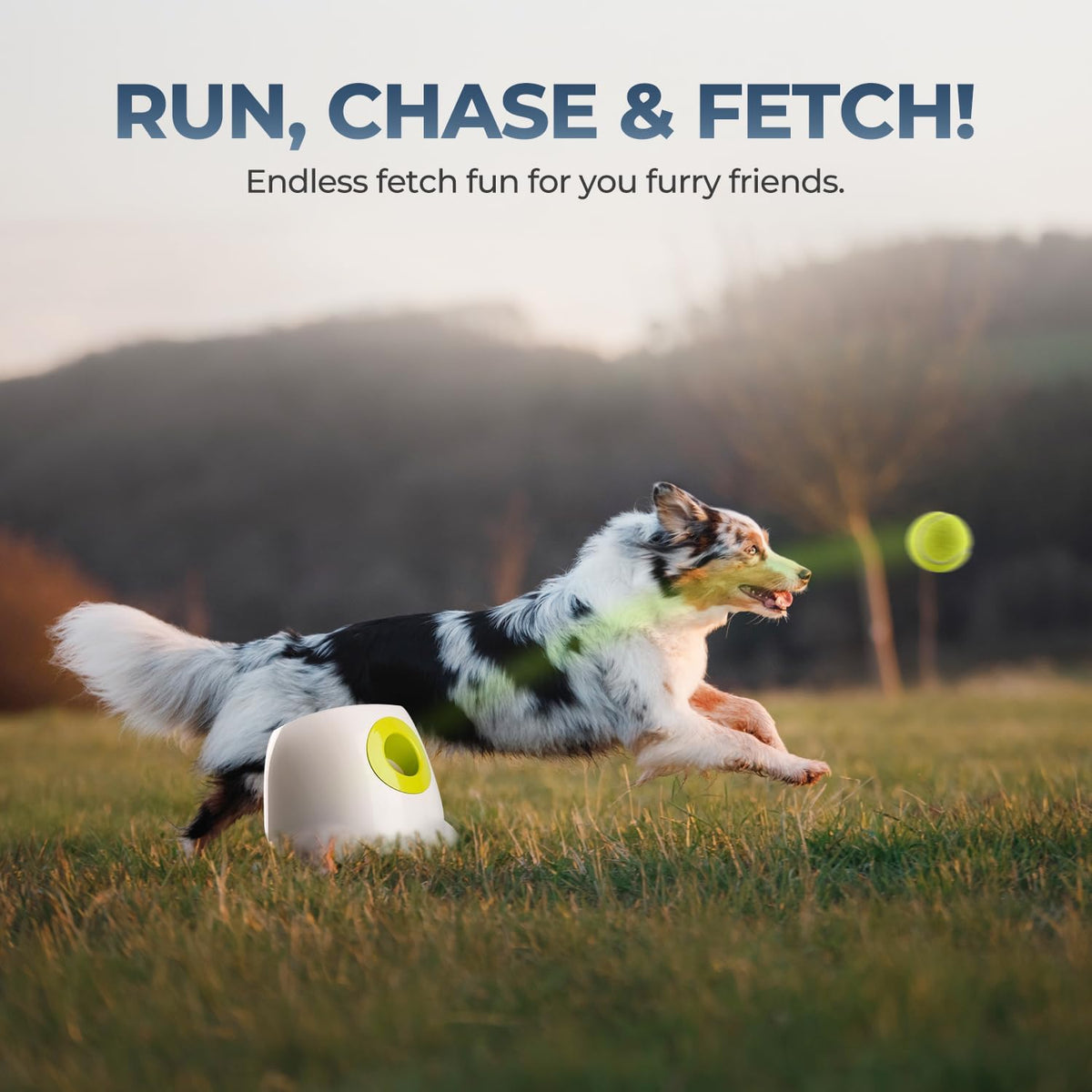 Smart Automatic Dog Ball Launcher – Interactive Fetch Toy